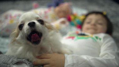 Brother and sister playing with a dog. Boy and girl with a friend dog in the house happy smiling. Slow motion 4K video of pet life with children. High quality 4k footage