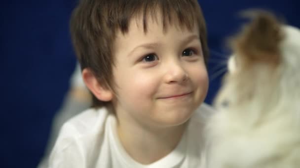 Portrait Happy Boy Playing Dog Dog Licks Childs Face Home — Stock Video