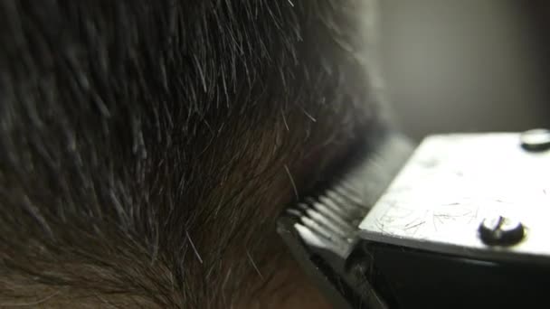 Haircut Home Close Hair Clipper Cuts Hair Mans Head Gray — Video Stock