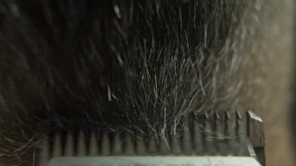 Saçları Bir Adamın Kafasından Kesilmiş Bir Bıçak Makro Planı Kırpıcı — Stok video
