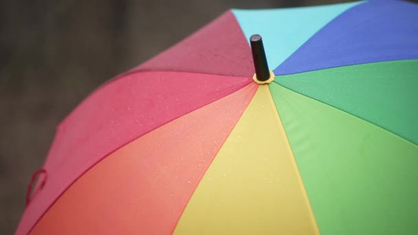Girl Twists Colorful Umbrella Park Child Walks Umbrella Rainy Weather — Stockvideo