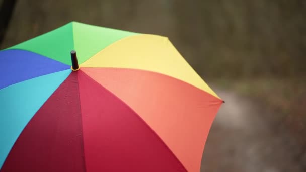 Multicolored Umbrella Raindrops Background Abstract Video Umbrella Which Raining — Stockvideo