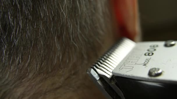 Macro Detail Hair Clipper Blade Trimmer Cuts Hair Gray Head — Stok video