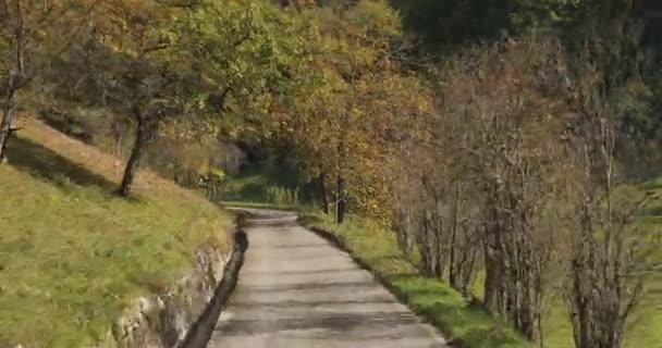 Yoldaki Bir Park Alanında Ilerliyorum Yüksek Kalite Görüntü — Stok video