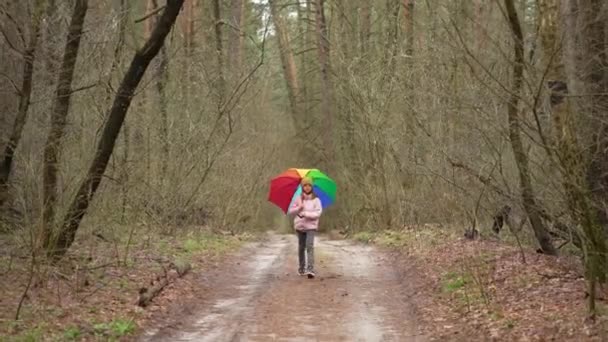 Girl Colorful Umbrella Walks Park Trees Path Which Child Goes — Stockvideo
