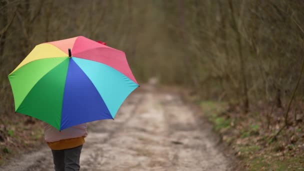 Child Walks Park Colorful Umbrella Girl Walks Woods Trees Landscape — стоковое видео