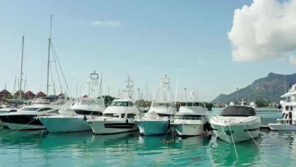 Aerial View Mahe Seychelles Boats Parked Marina Port Shores Indian — Stockvideo