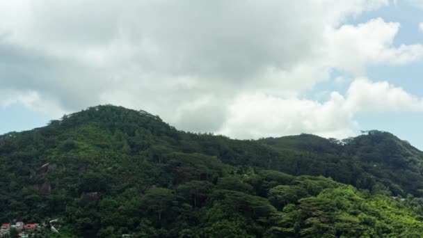 Вид Повітря Мае Сейшельські Острови Прекрасний Лісовий Ландшафт Горах Острові — стокове відео
