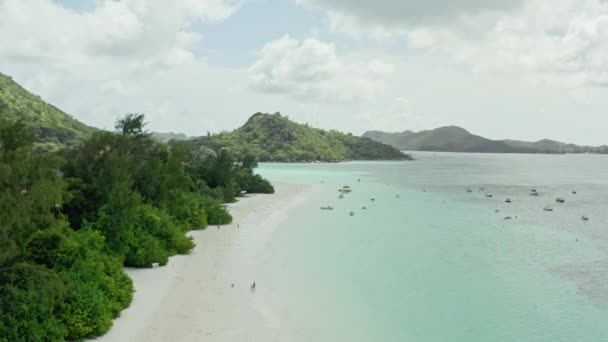Aerial View Seychelles Tropical Sandy Beach Palm Trees Island Indian — Stockvideo