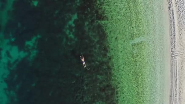 Aerial View Girl Swimming Ocean Woman Swimsuit Swims Beach Sea — Vídeos de Stock