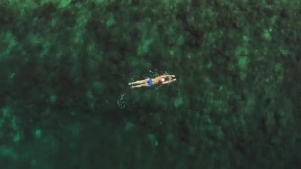 Aerial View Woman Swimsuit Swimming Blue Water Sea Girl Relaxes — Vídeos de Stock
