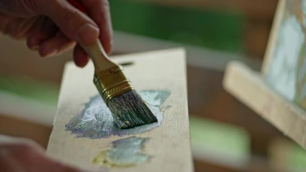 Close Brush Artist Dips Paint Paints Picture High Quality Footage — Stockvideo