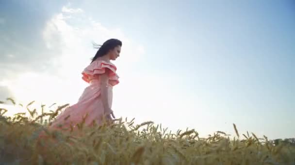 Beautiful Girl Dress Walks Golden Wheat Field Beautiful Landscape Feeling — Video Stock