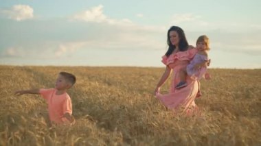 A family walks together through a wheat field. A happy mother with children holds her daughter in her arms and shows how bread is grown. High quality 4k footage
