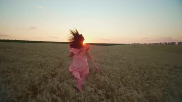 Ένα Κορίτσι Φόρεμα Τρέχει Μέσα Από Ένα Χωράφι Σιτάρι Ηλιοβασίλεμα — Αρχείο Βίντεο