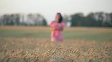 A beautiful woman in a dress walks through a wheat field. Unity of man and nature, ears of wheat. High quality 4k footage