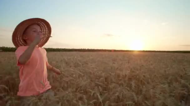 Мальчик Бежит Пшеничному Полю Счастливый Улыбающийся Ребенок Шляпе Соединяется Природой — стоковое видео