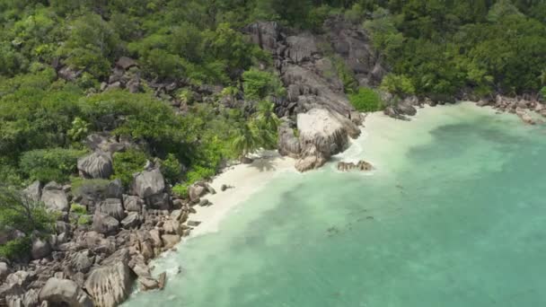 Aerial View Nature Seychelles Beautiful Sandy Beaches Palm Trees Growing — Video Stock