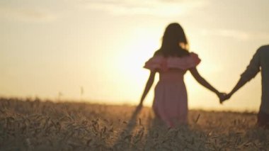 A couple walks through a wheat field at sunset. A man and a woman in love at a romantic stop in nature. High quality 4k footage