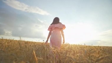 A girl takes a romantic stroll through a wheat field at sunset. A gentle woman touches the ears of wheat with her hands, a feeling of freedom and happiness. High quality 4k footage