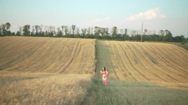 A girl in a dress walks through a wheat field. A woman walks along the border of mown wheat, a feeling of tenderness and freedom in nature. High quality 4k footage