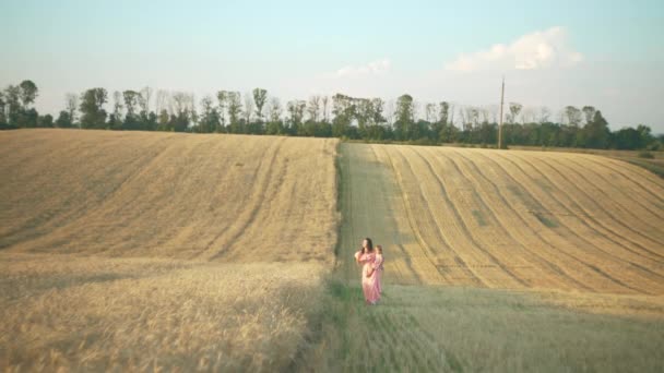 Girl Dress Walks Wheat Field Woman Walks Border Mown Wheat — Vídeo de Stock