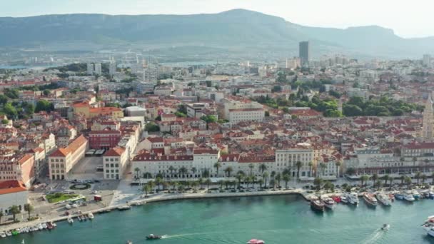 Aerial View Split Croatia Embankment Palm Trees Old Historical City — Vídeos de Stock