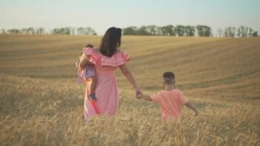 A mother and her children are walking along a wheat field. Happy family together in nature, agricultural field. High quality 4k footage