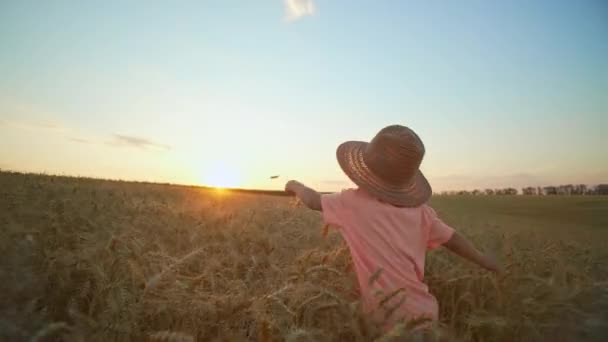 Little Boy Hat Runs Wheat Field Happy Child Playing Outdoors — Stockvideo