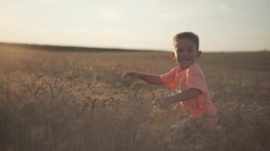 A baby boy is running on a beautiful agro field of wheat. A child is smiling and happy running and having fun in nature in the summer. High quality 4k footage