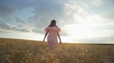 A girl walks through a golden wheat field at sunset. A Caucasian woman in a dress walks alone in nature in an agricultural field and feels freedom. High quality 4k footage