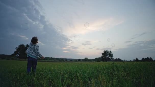 Children Play Together Breaking Soap Bubbles Nature Brother Sister Rejoice — Stock videók