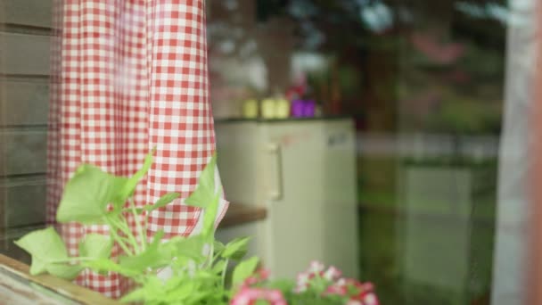 Girl Waters Flowers Window Home Growing Plants Pots Room Windowsill — Wideo stockowe