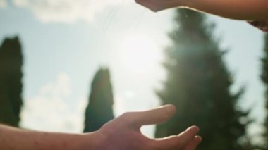 The woman hands the plant over to the man. Teamwork in the garden. Planting grass in the garden. Concept video. High quality 4k footage