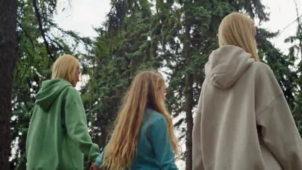 3世代の女性が手をつないで歩く 公園を散歩している家族 赤ちゃんの母親と祖母は一緒に満足しています 高品質4K映像 — ストック動画