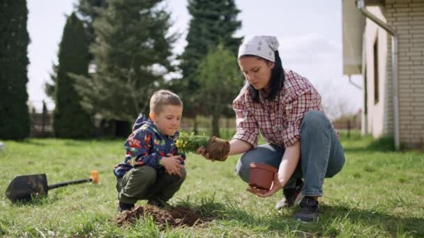 Mãe Filho Estão Plantando Flores Jardim Feliz Sorrindo Pessoas Cultivando — Vídeo de Stock