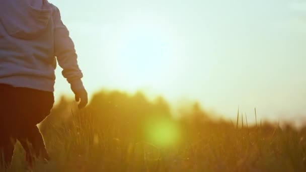 Filmik Chłopcem Biegającym Zachodzie Słońca Polu Wideo Wolności Szczęściu Zabawie — Wideo stockowe
