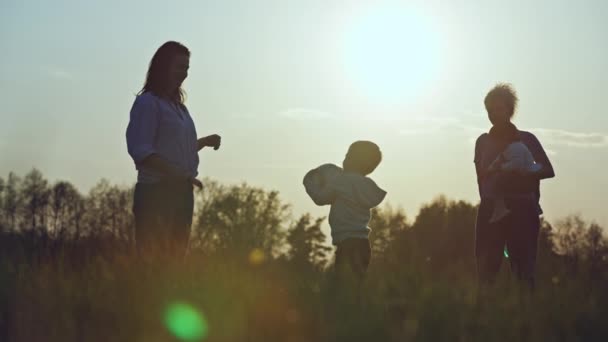 Μια Οικογένεια Παίζει Μια Μπάλα Στο Πάρκο Ένα Αγόρι Και — Αρχείο Βίντεο