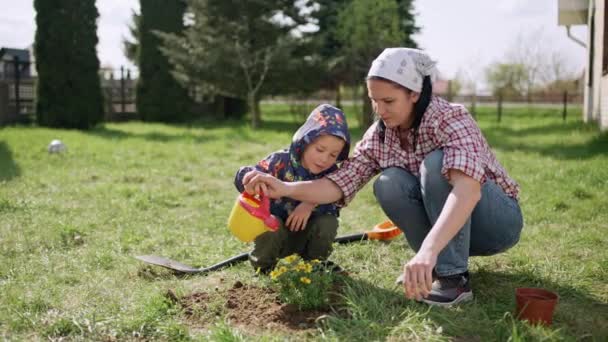 Zoon Helpt Zijn Moeder Bloemen Planten Tuin Familiezaken Samen Wederzijdse — Stockvideo