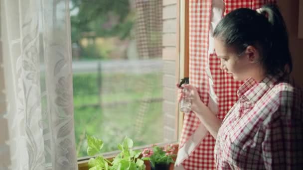 Das Mädchen Gießt Die Blumen Hause Auf Der Fensterbank Pflege — Stockvideo
