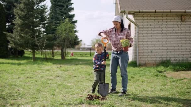 Ibu Dan Anak Menanam Tanaman Kebun Kerjasama Tim Keluarga Dalam — Stok Video