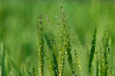 Yeşil Arkaplanı kristalize et. Soyut arkaplan.