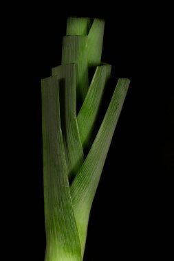 Bahçede taze sarımsak yetişiyor. Genç, güçlü bahçe bitkilerinin, fidanların ve toprağın yakın görüntüsü. Bahçe konsepti.