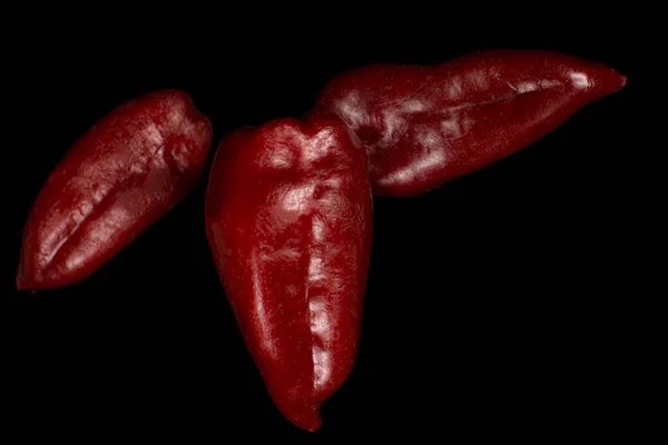 Κόκκινη Πιπεριά Μαύρο Φόντο — Φωτογραφία Αρχείου