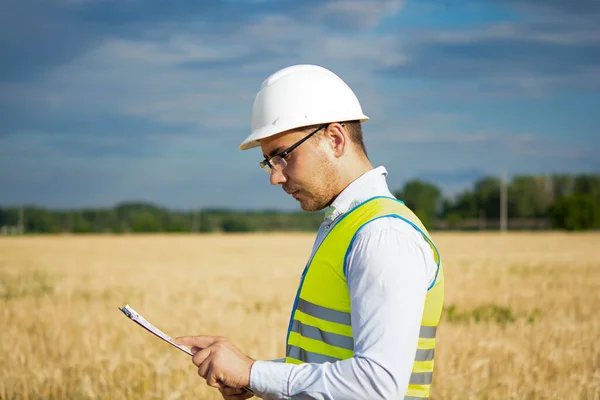 Agro engineer at the field inspection, the farmer stands in a wheat field with a folder in his hands and checks the harvest, the engineer stands in a field with wheat, an agronomist in the field