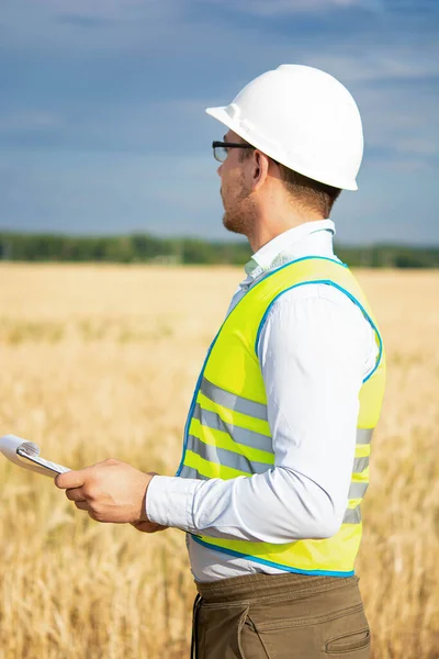 Agro engineer at the field inspection, the farmer stands in a wheat field with a folder in his hands and checks the harvest, the engineer stands in a field with wheat, an agronomist in the field