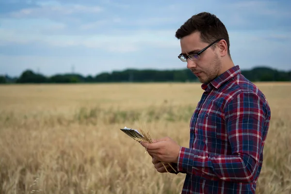 Farmer holding tablet, agronomist using online data management software, creating yield maps in wheat field, precision farming