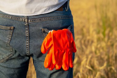 Bize arkası dönük bir erkek mühendisin yakın plan çekimi, yelek ve şapka giymiş bir mühendis, iş eldivenleri pantolonunun cebinde, bir mühendis sahada duruyor.
