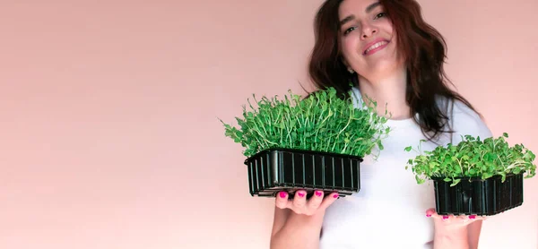 The girl is holding a cardboard box with microgreens. Raw sprouts. Healthy food and diet, vegan lifestyle. Fresh green ingredient, delicious leaves. natural organic bio food. Selected seeds for growth