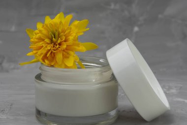 cosmetic cream and yellow flower on gray background